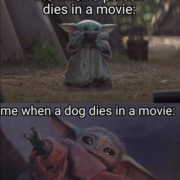 CLOSING TO TRAVEL! - Picture 3 of 9